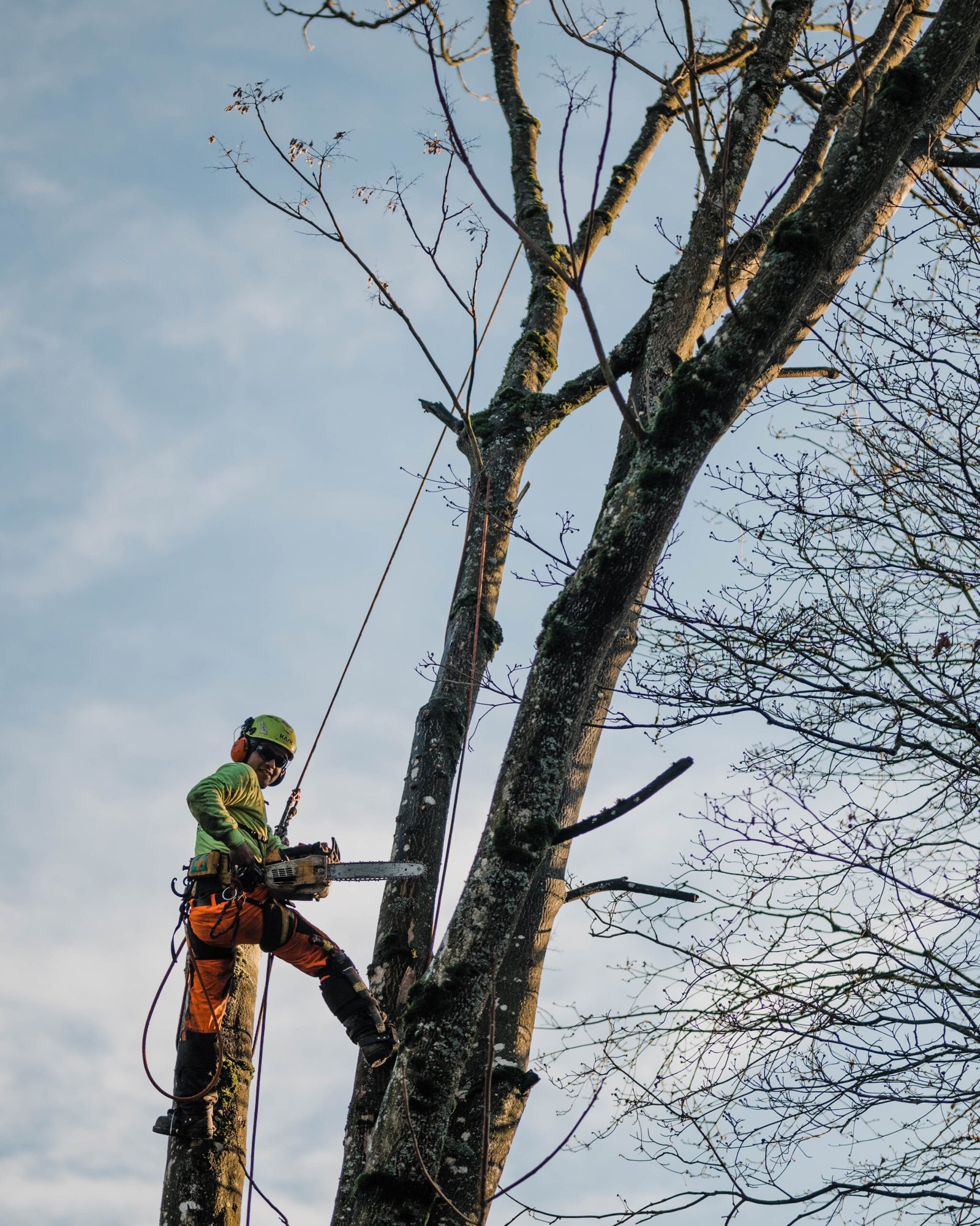 man uses chainsaw cut the tree